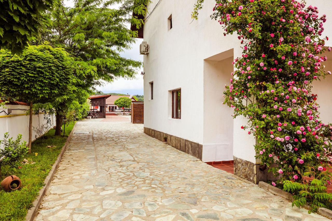 Pensiunea Iris Turcineşti Exterior foto