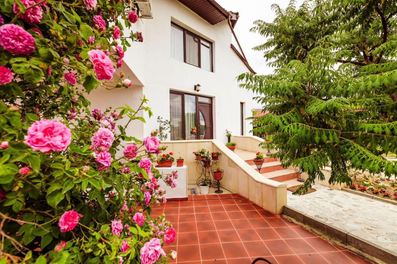 Pensiunea Iris Turcineşti Exterior foto